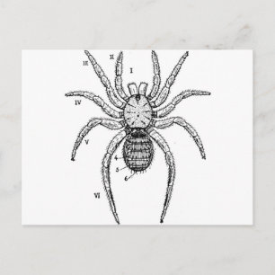 Vintages Spiderdiagramm Postkarte