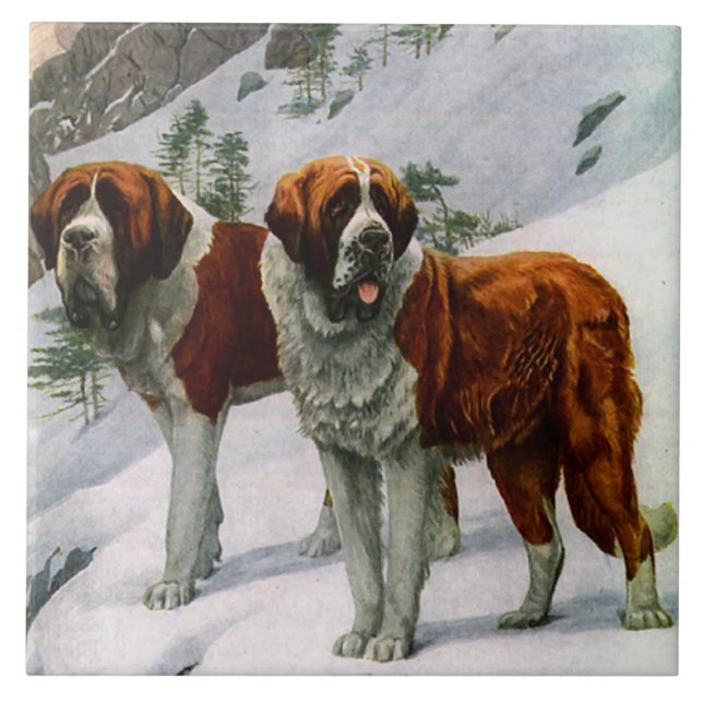 Vintages St. Bernards Fliese (Vorderseite)