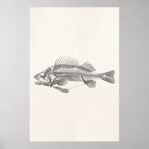 Vintages Stangen-Fisch-Skelett - Fisch-Schablone Poster