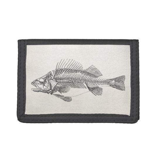 Vintages Stangen Fisch Skelett Fisch Schablone Trifold Geldborse Zazzle At