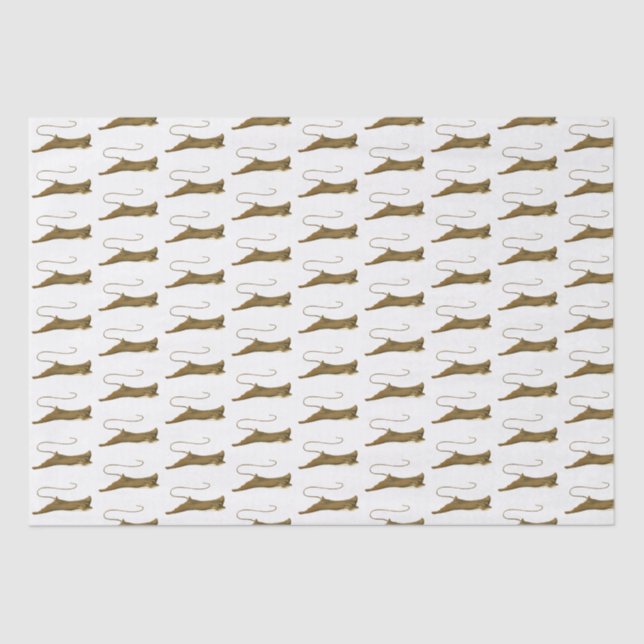 Vintages Stingray-Zeichnend Tissue Paper Seidenpapier (Vorderseite)