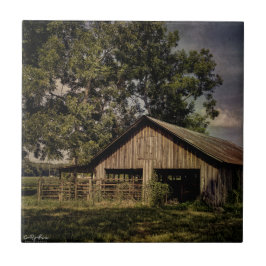 Vintages Südgeorgien Keramik Fliese