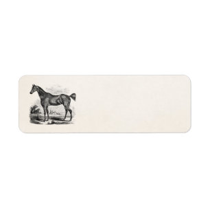 Vintages Thoroughbred-Pferdereiterpersonalisiertes