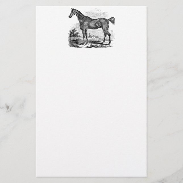 Vintages Thoroughbred-Pferdereiterpersonalisiertes Briefpapier (Vorderseite)