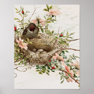 Vintages Tierplakat - Vogel im Nest Poster