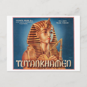 Vintages Tutankhamen-Fruchtkäfigetikett Postkarte