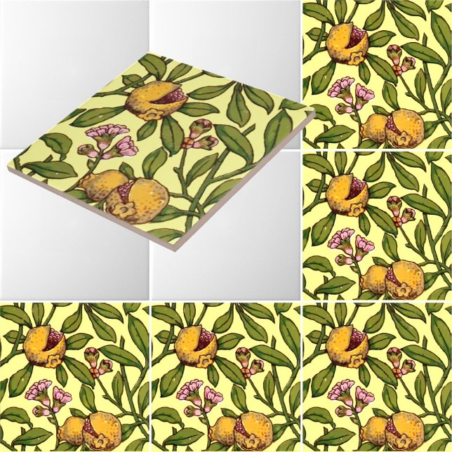 Vintages Viktorianisches Erbmodell Granatapfel Fliese (Von Creator hochgeladen)