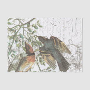 Vintages Vogel-Collagen-Seidenpapier No.508 Seidenpapier