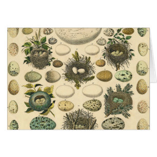 Vintages Vogeleier Nest Malereieier