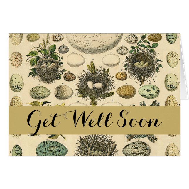 Vintages Vogeleier Nest Malereieier (Vorderseite (Horizontal))