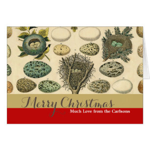 Vintages Vogeleier Nest Malereieier