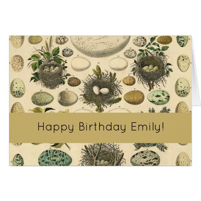 Vintages Vogeleier Nest Malereieier (Vorderseite (Horizontal))