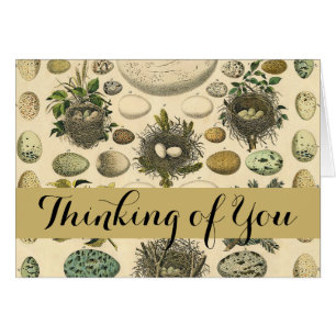 Vintages Vogeleier Nest Malereieier