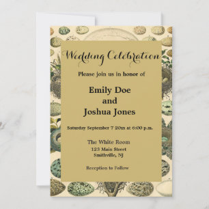 Vintages Vogeleier Nest Malereieier Einladung