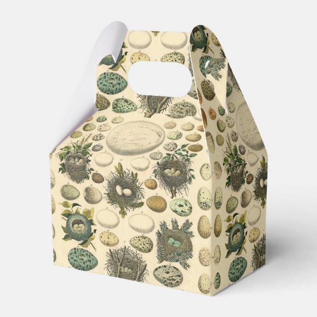 Vintages Vogeleier Nest Malereieier Geschenkschachtel (Vorderseite)