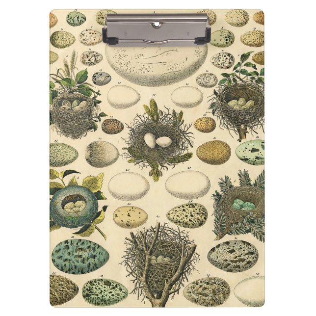 Vintages Vogeleier Nest Malereieier Klemmbrett (Vorderseite)