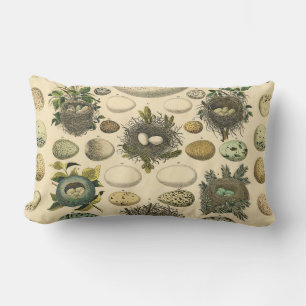 Vintages Vogeleier Nest Malereieier Lendenkissen