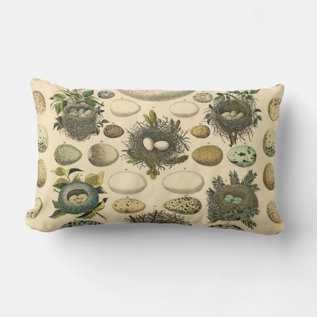 Vintages Vogeleier Nest Malereieier Lendenkissen (Vorderseite)