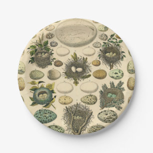 Vintages Vogeleier Nest Malereieier Pappteller