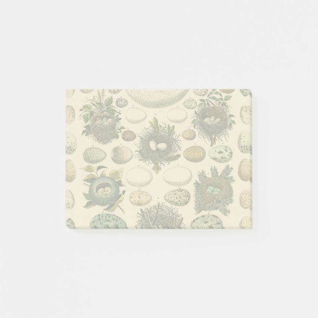 Vintages Vogeleier Nest Malereieier Post-it Klebezettel (Vorderseite)