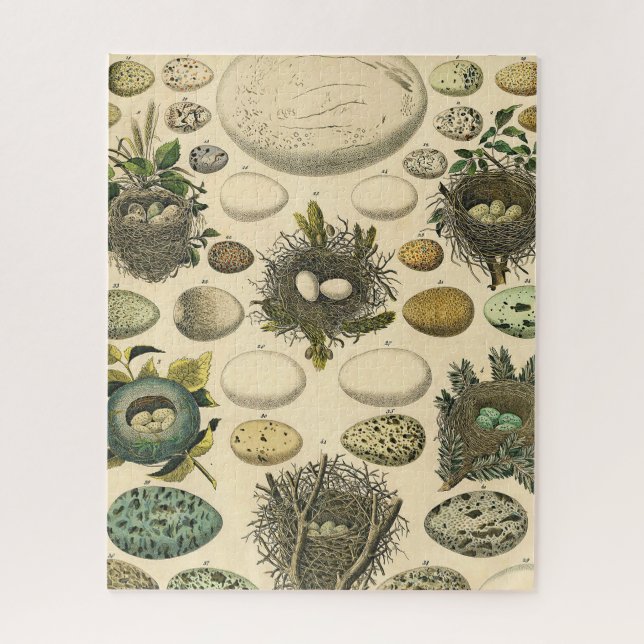 Vintages Vogeleier Nest Malereieier Puzzle (Vertikal)