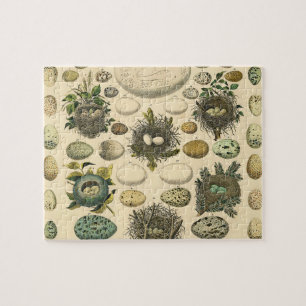 Vintages Vogeleier Nest Malereieier Puzzle