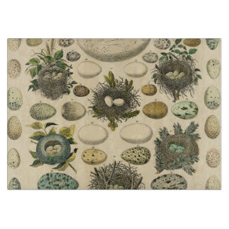 Vintages Vogeleier Nest Malereieier Schneidebrett