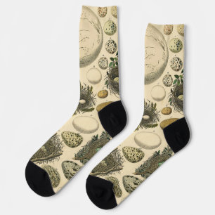 Vintages Vogeleier Nest Malereieier Socken