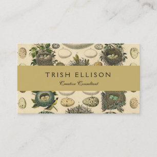 Vintages Vogeleier Nest Malereieier Visitenkarte