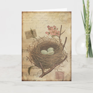Vintages Vogelnest und Eier auf der Postkarte