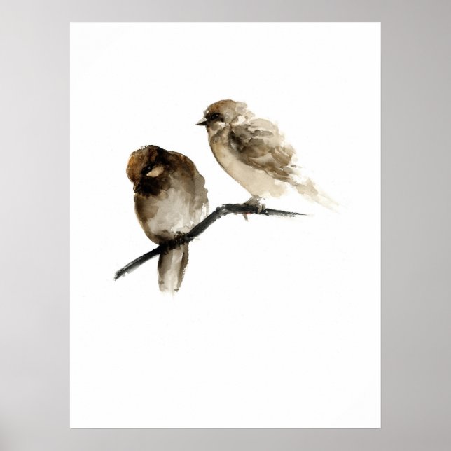 Vintages Vogelposter mit Graubirnen Poster (Vorne)
