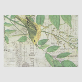 Vintages Vogelzwirn Seidenpapier