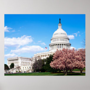 Vintages Washington DC Poster