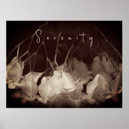 Vintages weißes Blumenposter Poster