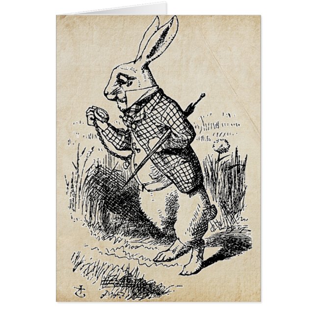 Vintages Weißes Kaninchen (Vorne)