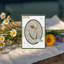 Vintages Weißes Mohn Details auf der Rückseite Geb