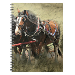 Vintages Wetter Clydesdale Postkarte Notizblock