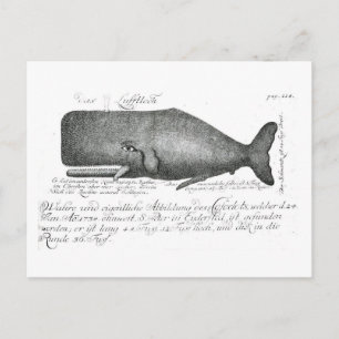 Vintages Whaldesign Postkarte