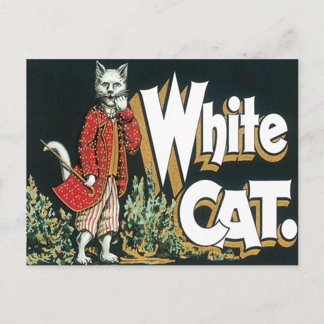Vintages White Cat Cigar Postkarte (Vorderseite)