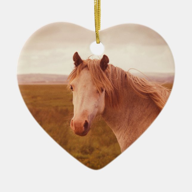Vintages Wildpferd Keramik Ornament (Vorne)