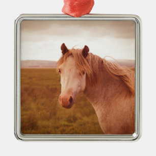 Vintages Wildpferd Silbernes Ornament