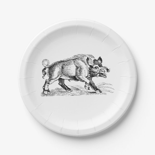 Vintages Wildschwein Zeichnend BW #2 Pappteller (Vorderseite)