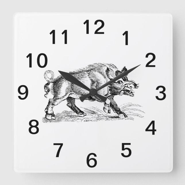 Vintages Wildschwein Zeichnend BW #2 Quadratische Wanduhr (Vorderseite)