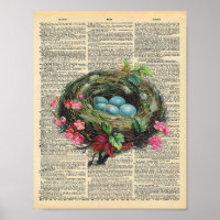 Vintages Wörterbuch Art Blue Robin's Eggs in Nest