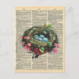 Vintages Wörterbuch Art Blue Robin's Eggs in Nest Postkarte
