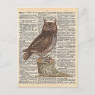 Vintages Wörterbuch Art Brown Owl Bird Postkarte