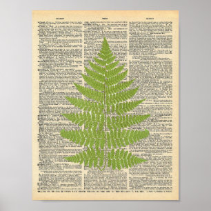 Vintages Wörterbuch Art Green Fern Fronprint Poster