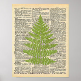 Vintages Wörterbuch Art Green Fern Fronprint Poster
