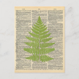 Vintages Wörterbuch Art Green Fern Frontend Postkarte