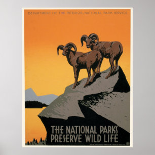Vintages WPA-Poster für Naturparks Poster